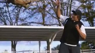 Video mit Wow-Wau-Effekt: Super-Hunde in Super Slow Mo