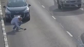 Autobahn: Dutzende Autos verpassen Katze knapp